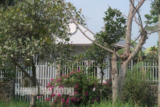 Tin tức 24h: Cận cảnh nhiều người đột nhập vào nhà hoang nơi Tuấn khỉ từng ẩn náu - 17
