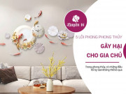 Clip Eva - 5 sai lầm phong thủy phổ biến gia chủ hay mắc phải khiến tài vận hư hao