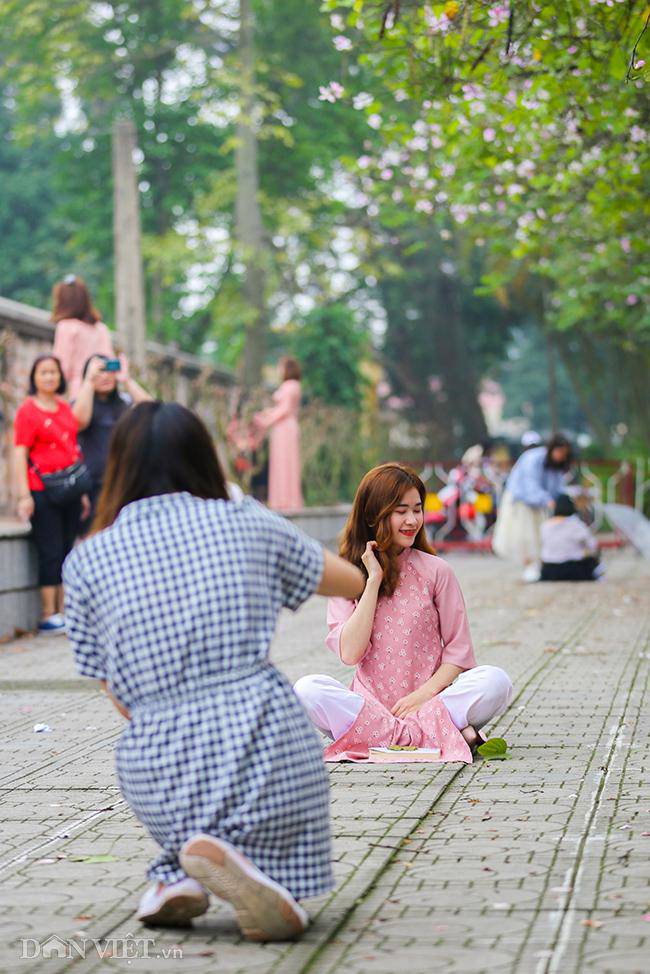 Ngắm hoa ban Tây Bắc nở bung rực rỡ, đẹp nao lòng giữa phố Hà Nội - 10