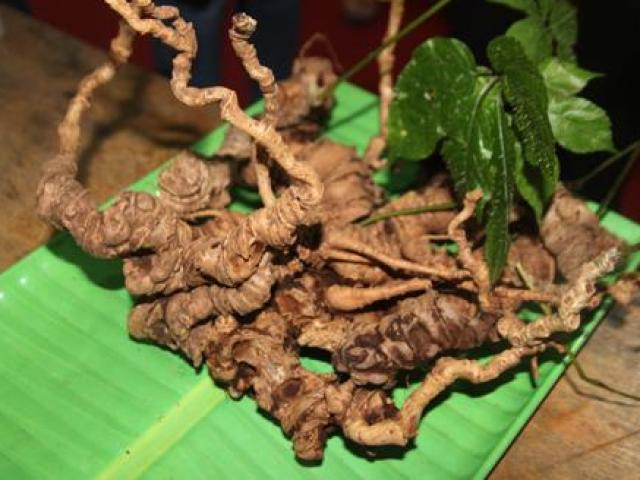 12 tác dụng của củ sâm đất cho bồi bổ và tăng cường sức khỏe