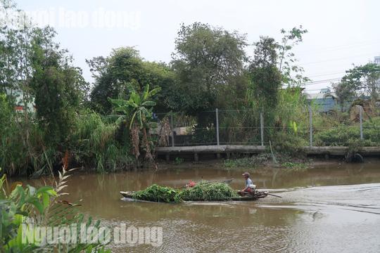 Đám đông hiếu kỳ vẫn chưa buông căn nhà hoang nơi Tuấn amp;#34;khỉamp;#34; ẩn nấp - 5