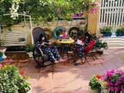 Nhà đẹp - Chồng bỏ tiền mua lốp xe cũ, mẹ 8x trồng hoa, sau 2 năm thành mảnh vườn 200m2 tuyệt đẹp