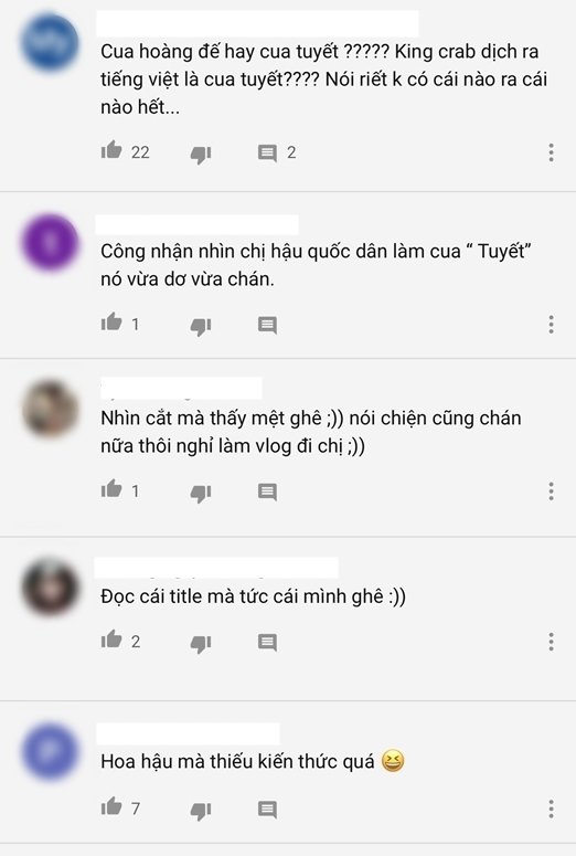 Khổ như Phạm Hương, làm món ăn sang chảnh lại bị chê dốt tiếng Anh, mất vệ sinh - 11