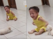 Clip Eva - Cậu bé khuyết tật vui đùa cùng cún con gây xúc động: "Chú chim cánh cụt" lạc quan
