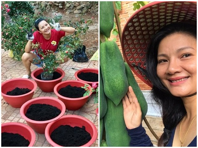 1 năm trốn phố về Bình Phước trồng rau, Kiều Trinh khoe vườn nhà trĩu quả