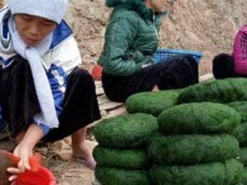 Nhìn như cục bông xanh biếc, hóa ra là món đặc sản lấy từ lòng suối