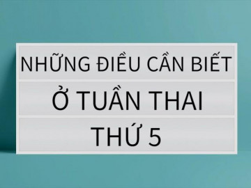 Mang thai tuần 5: Mẹ bầu nên ăn những thực phẩm nào?