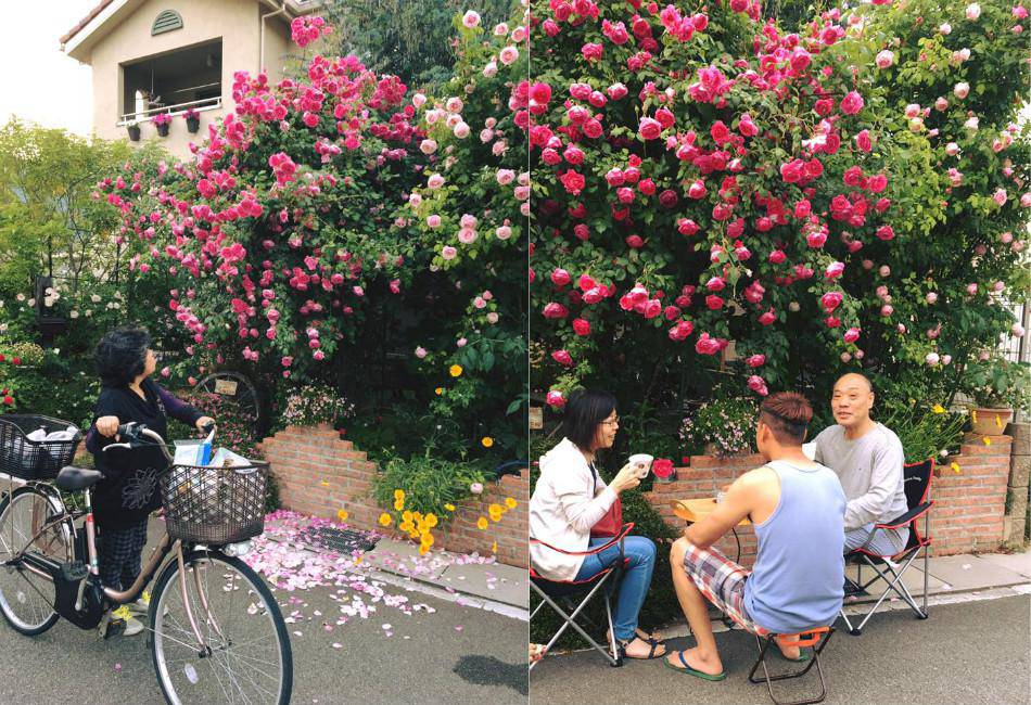 Say đắm ngắm vườn hồng đẹp tựa chốn thần tiên của người đàn ông Việt ở Nhật - 11