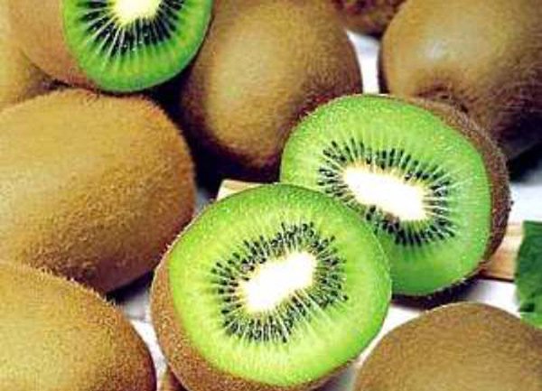 Tác dụng của quả kiwi với bà bầu và trẻ em nhất định phải biết - 1