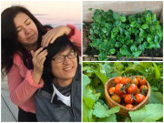 Nhà đẹp - 15 năm sang Mỹ Phương Thảo - Ngọc Lễ vẫn mê trồng vườn, nhìn lại toàn loại cây quê hương