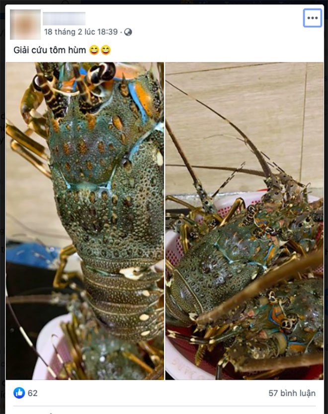 nhiet tinh "giai cuu tom hum rot gia": can phan biet cac loai tom hum keo mua "ho" - 1