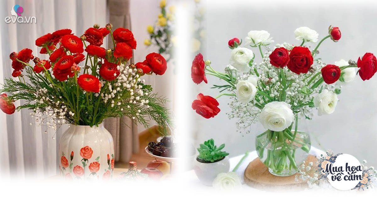 Hoa mao lương thân rỗng khó bền, mẹ Việt chơi chán chê vẫn chưa thối ...