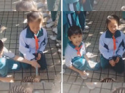 Clip Eva - Cậu bé ga lăng đỡ phạt cho bạn gái làm chị em xuýt xoa "bố nào dạy khéo thế"