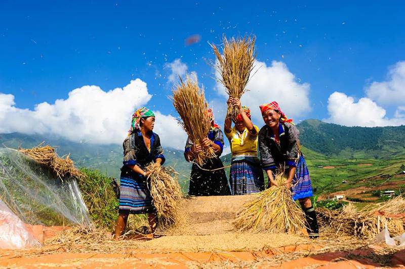 ngo ngang voi “chim hong hac” tren dong song nho que - 7
