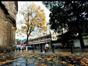 Xem ăn chơi - Mỗi góc phố Hà Nội đều thành điểm check in tuyệt đẹp với khúc giao mùa