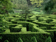 Eva tám - Trắc nghiệm Kokology: Mê cung bí hiểm tiết lộ tính cách con người bạn