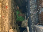 Tin tức - Nghe tiếng động lạ giữa 2 bức tường, người phụ nữ tá hỏa khi biết sự thật