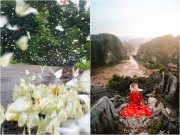 Lifestyle - Nghỉ 8/3 vào cuối tuần, đi những địa điểm nào vừa đẹp vừa gần Hà Nội?