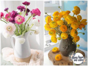 Nhà đẹp - Muôn kiểu cắm hoa mao lương đẹp “không đụng hàng”, nhà mẹ Việt rực sắc đón ngày 8/3