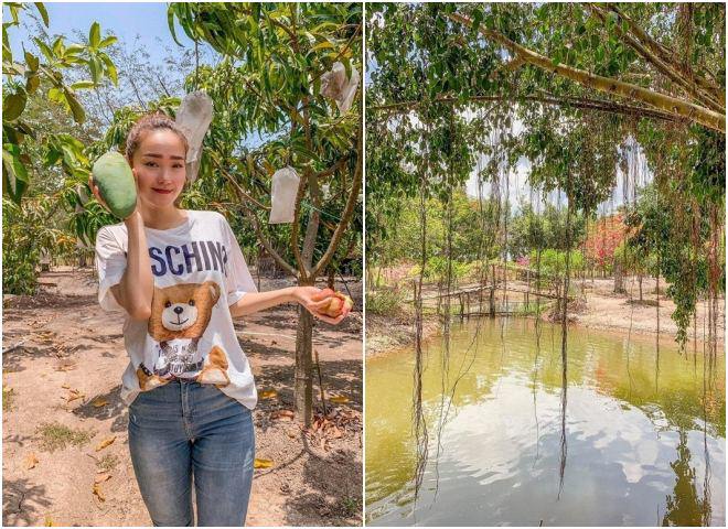 Cơ ngơi hàng nghìn m2: Ngọc Sơn chưa là gì so với mỹ nữ có vòng 3 lớn nhất Vbiz - 4