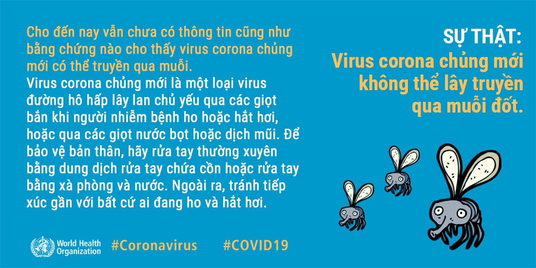 WHO giải đáp 7 lầm tưởng về cách ngừa COVID-19: Xịt cồn, clo khắp người cũng không diệt virus - 4