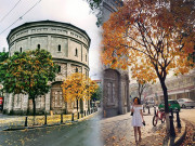 Xem ăn chơi - Cây lá vàng "hot" nhất Hà Nội, chị em đua nhau chụp ảnh như vi vu ở trời Âu