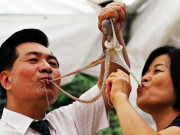 Xem ăn chơi - Đặc sản bạch tuộc sống Hàn Quốc: Cho vào miệng vẫn còn ngoe nguẩy