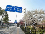 Tin tức - Vũ Hán sau gần 2 tháng phong tỏa: Đóng cửa bệnh viện dã chiến, hoa anh đào nở rộ