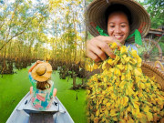 Lifestyle - Khám phá vẻ đẹp dân dã của ẩm thực của miền Tây