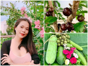 Nhà đẹp - Về Việt Nam trồng toàn cây đắt giá, ca sĩ Mỹ Lệ thuê người làm không xuể việc trong vườn
