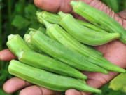 Sức khỏe - Chị em nhắc chồng ăn 2 thứ, uống 2 nước để giúp mạnh "chuyện ấy" lại tốt sức khỏe