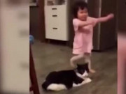 Clip Eva - Phản ứng của mèo khi ngáng chân bé ngã khiến ai cũng phì cười