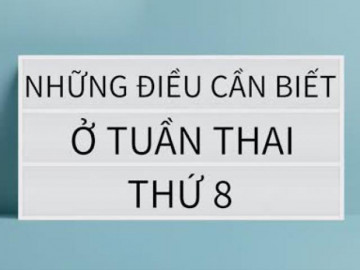 Mang thai 8 tuần: Hệ hô hấp của bé đang hình thành