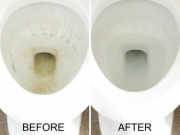 Nhà đẹp - Đổ giấm nóng xuống bồn cầu để qua đêm, sáng ra gọi cả nhà vào xem điều đặc biệt