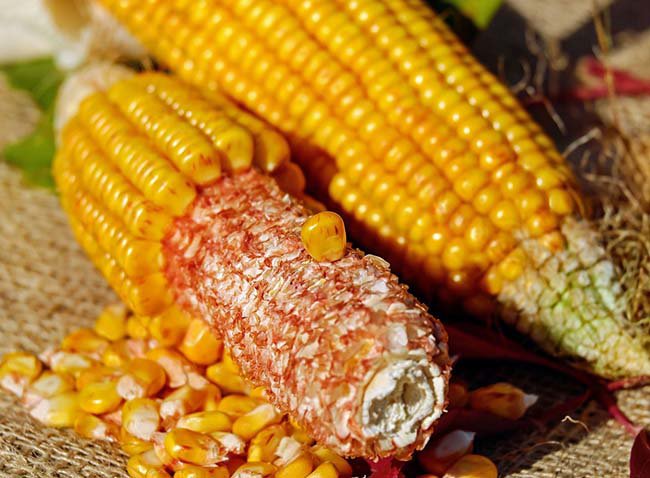 Thứ được xem như rác lại là nguyên liệu nấu ăn yêu thích của người Hàn - 1