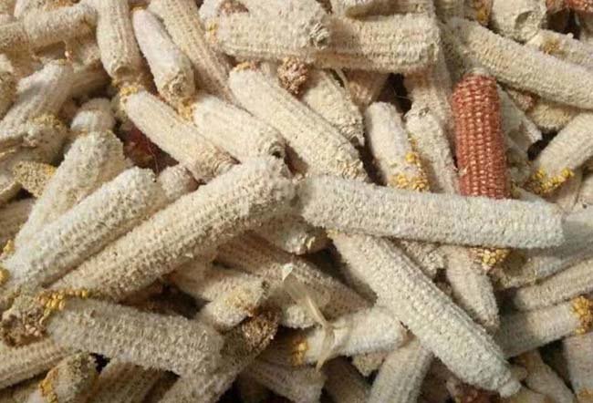 Thứ được xem như rác lại là nguyên liệu nấu ăn yêu thích của người Hàn - 6