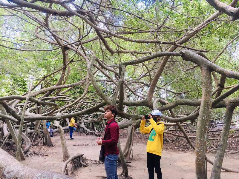 di cung ba thuong dong co hi, ngam gian gua khong lo o can tho - 9