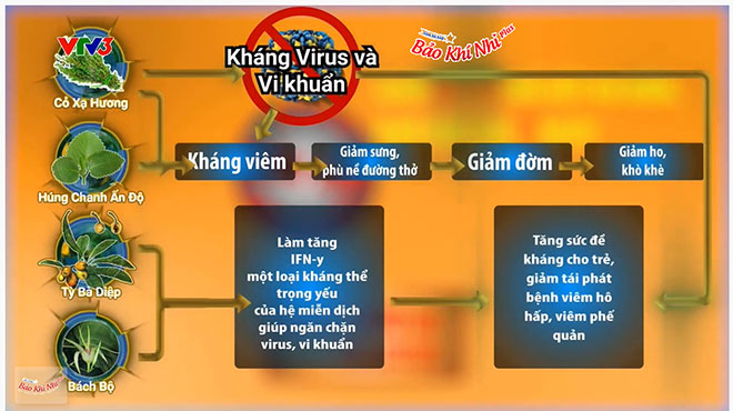 Phát sốt với cách Sao Việt giúp con không còn ho, đàm, viêm phế quản mùa dịch - 2