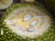 Tiêu dùng - Thứ bột trắng bôi trên đầu quả mít là gì, có ảnh hưởng tới người dùng?