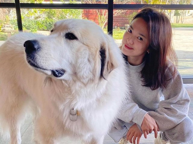 Trở về từ Ý - tâm dịch COVID-19 Châu Âu, Song Hye Kyo chờ 20 ngày mới dám xuất hiện