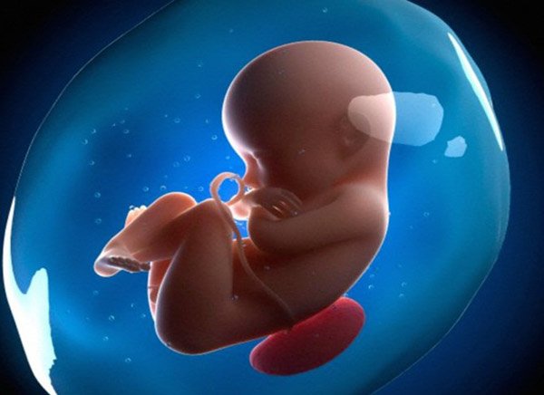 Cân nặng tăng lên khi mẹ mang bầu sẽ “vào” đâu? Đây là câu trả lời! - 8