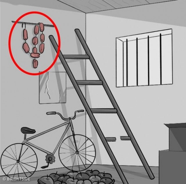 Món đồ lựa chọn đầu tiên tiết lộ điều ẩn sâu bên trong bạn - 5