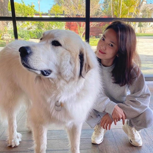 Trở về từ Ý - tâm dịch COVID-19 Châu Âu, Song Hye Kyo chờ 20 ngày mới dám xuất hiện - 4