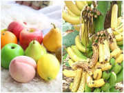 Nhà đẹp - Những loại quả không nên đặt bàn thờ, lưu ý kẻo mất tài lộc