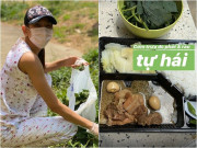 Bếp Eva - Đi cách ly, Võ Hoàng Yến tự hái rau sạch, cải thiện bữa ăn: Sướng khổ do mình