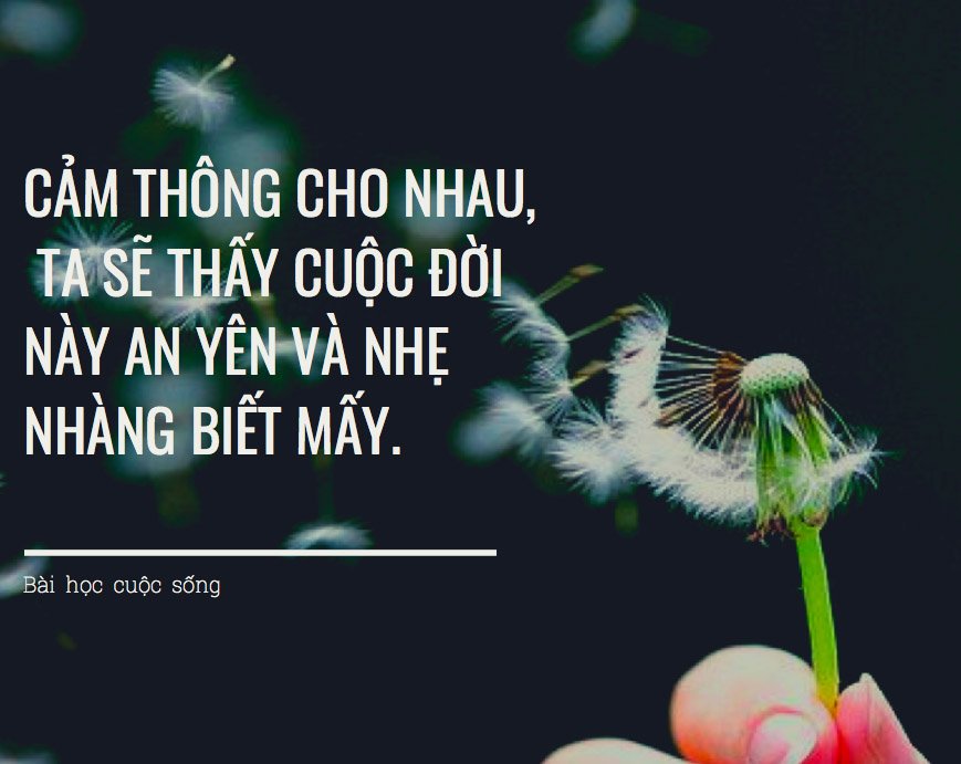 3 cȃu chuyện nhỏ mang ᵭḗn bài học lớn ᵭáng suy ngẫm vḕ cuộc sṓng - 3