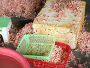 Tiêu dùng - Bản tin tiêu dùng: Hàng trăm kg tôm chết biến thành tôm nõn, giá 150.000 đồng/kg