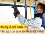 Sức khỏe - Những câu hỏi-đáp về COVID-19 (P2): SARS-CoV-2 ở đâu trong môi trường và tồn tại trong bao lâu?