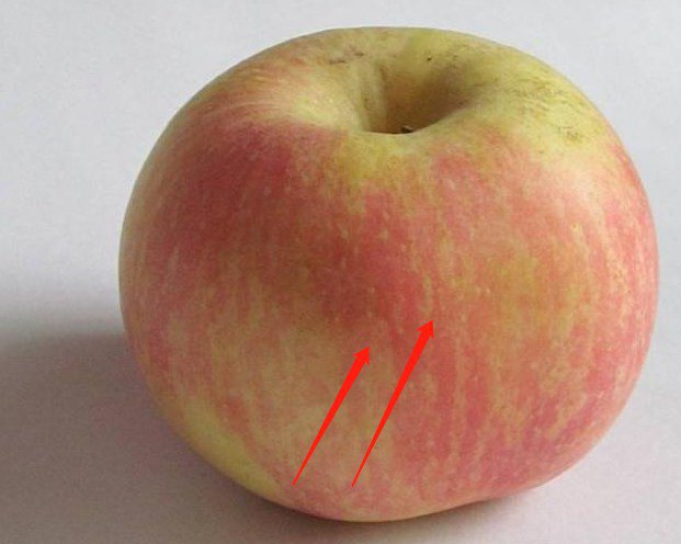Mua táo ở siêu thị, đừng dại chọn 4 quả như thế này vừa không ngon lại phí cả tiền - 3
