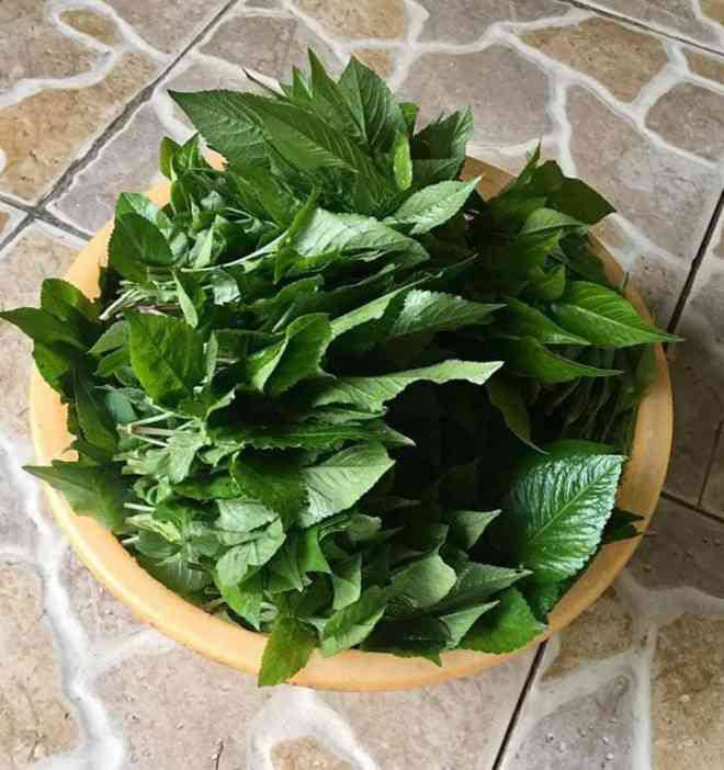Đặc sản xuyến chi xào tỏi, nghe tưởng dở ai ngờ khách nức nở khen ngon - 4
